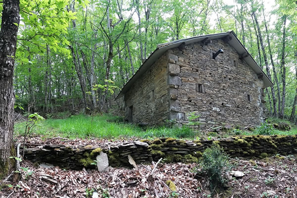 L'antica casa nel bosco alla Croxetta