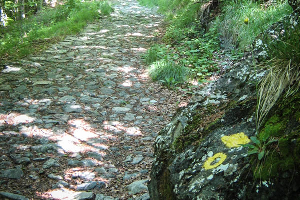 L'inizio del sentiero da Rocca d'Aveto