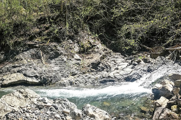 Il Ponte Romano nel bosco